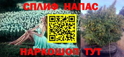 МДМА Камышлов