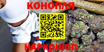 Альфа ПВП Канаш