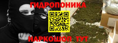 Альфа ПВП Канаш