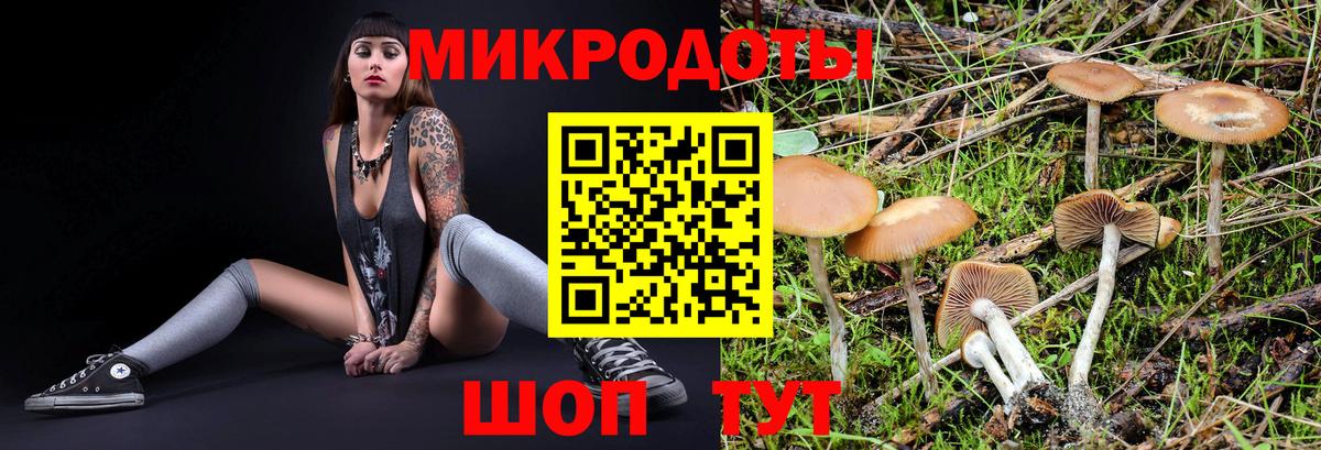 Галлюциногенные грибы MAGIC MUSHROOMS Лесосибирск