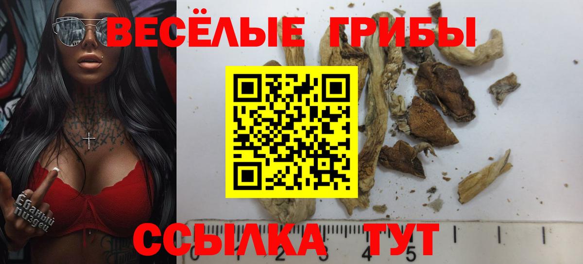 Лесосибирск  Псилоцибиновые грибы ЛСД  Вход с VPN 
